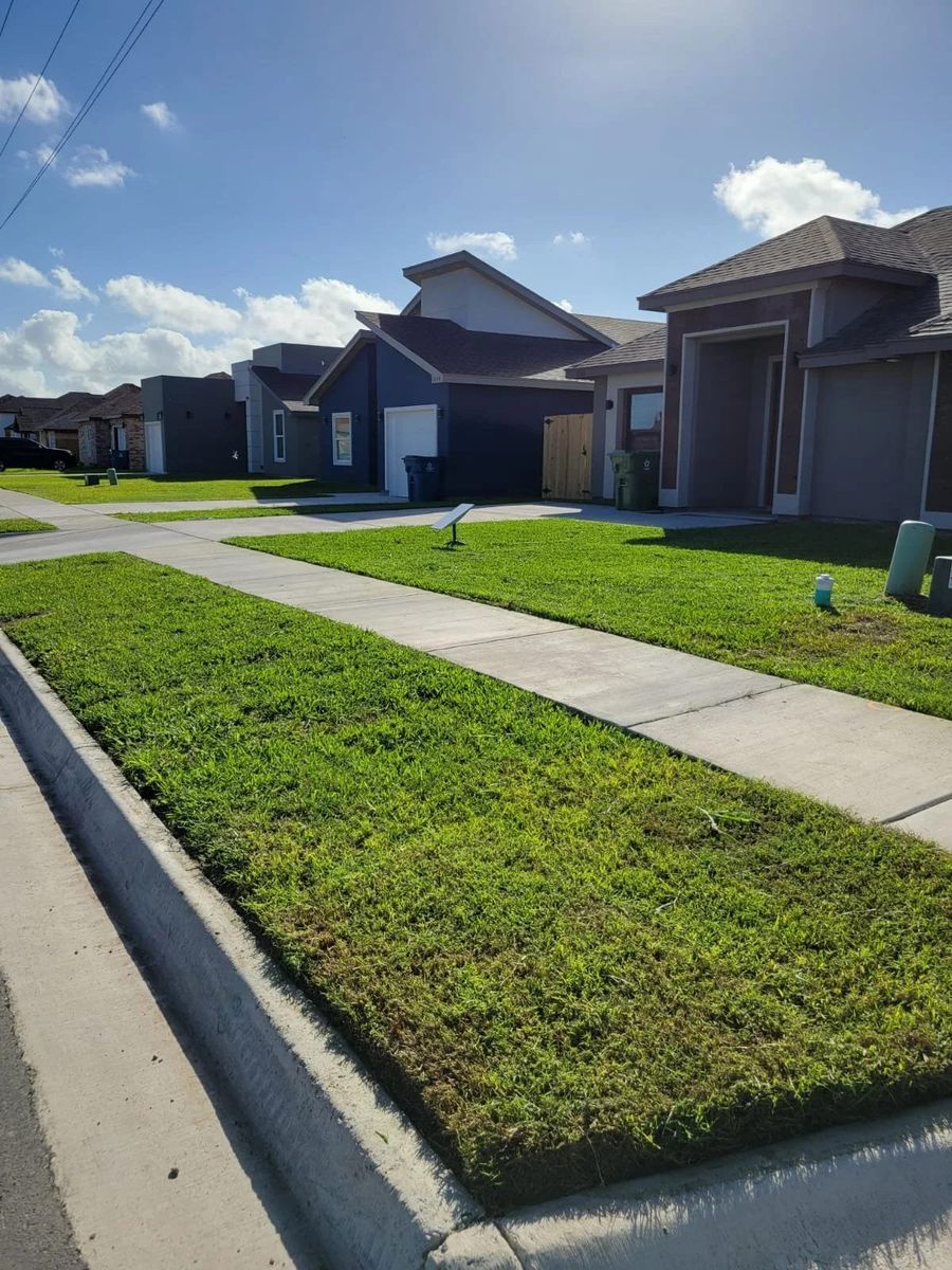 Fresh sod installed along a Brownsville parkway