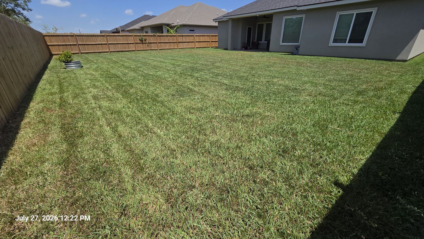 Large backyard freshly mowed with stripes
