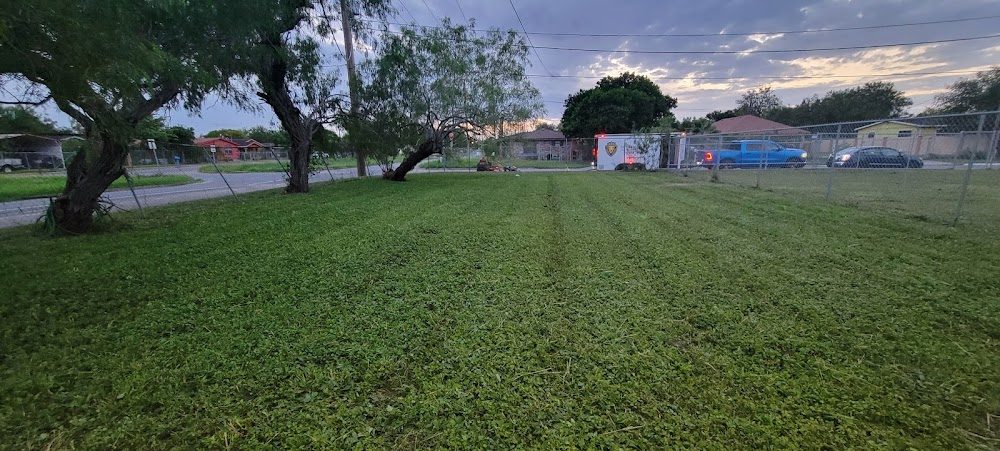 Freshly mowed large lot in the Rio Grande Valley