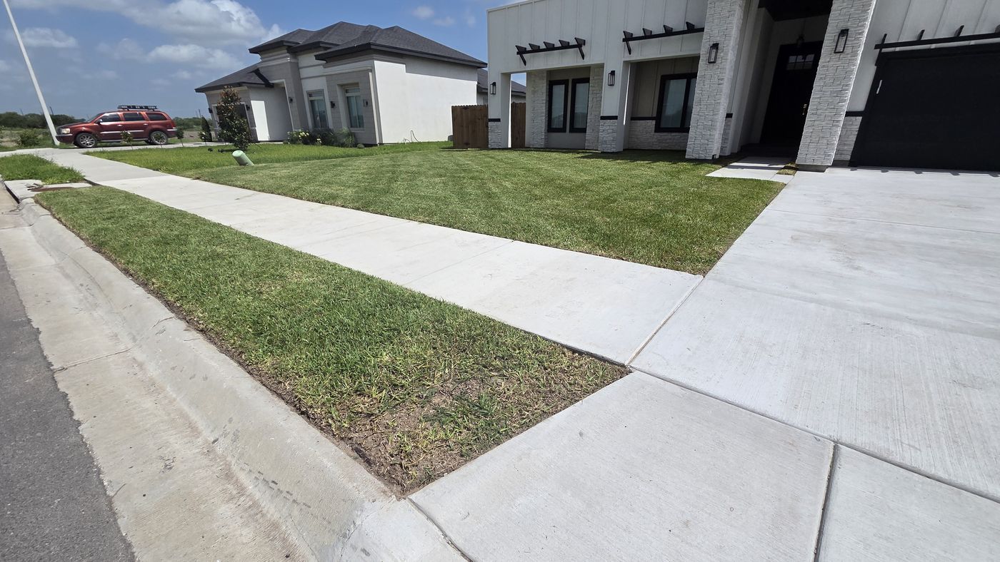 Fresh sod and crisp edges along the front walk and parkway