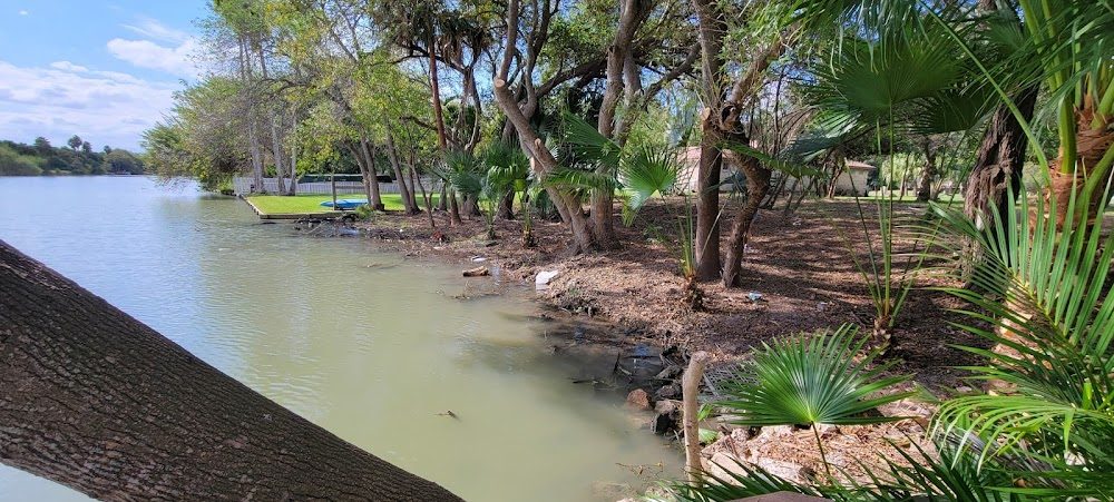 Resaca waterfront cleanup with mulched beds and palm trees